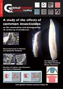Effects of Common Insectecides